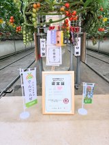 かりや健康づくり協力パートナーに認定