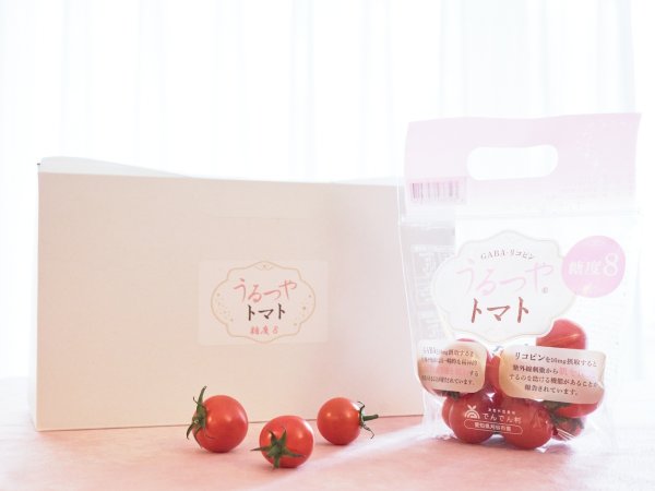 画像1: うるつやトマト糖度8 (1)